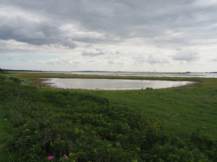 Halshuisene + Enebaerodde Beach (Denemarken)